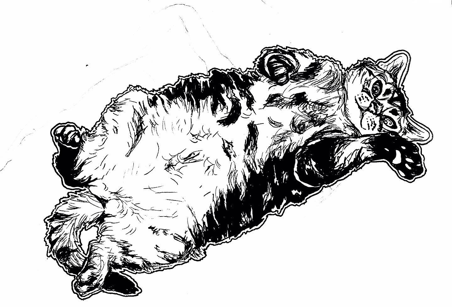 Remembering a Cat named Arthur