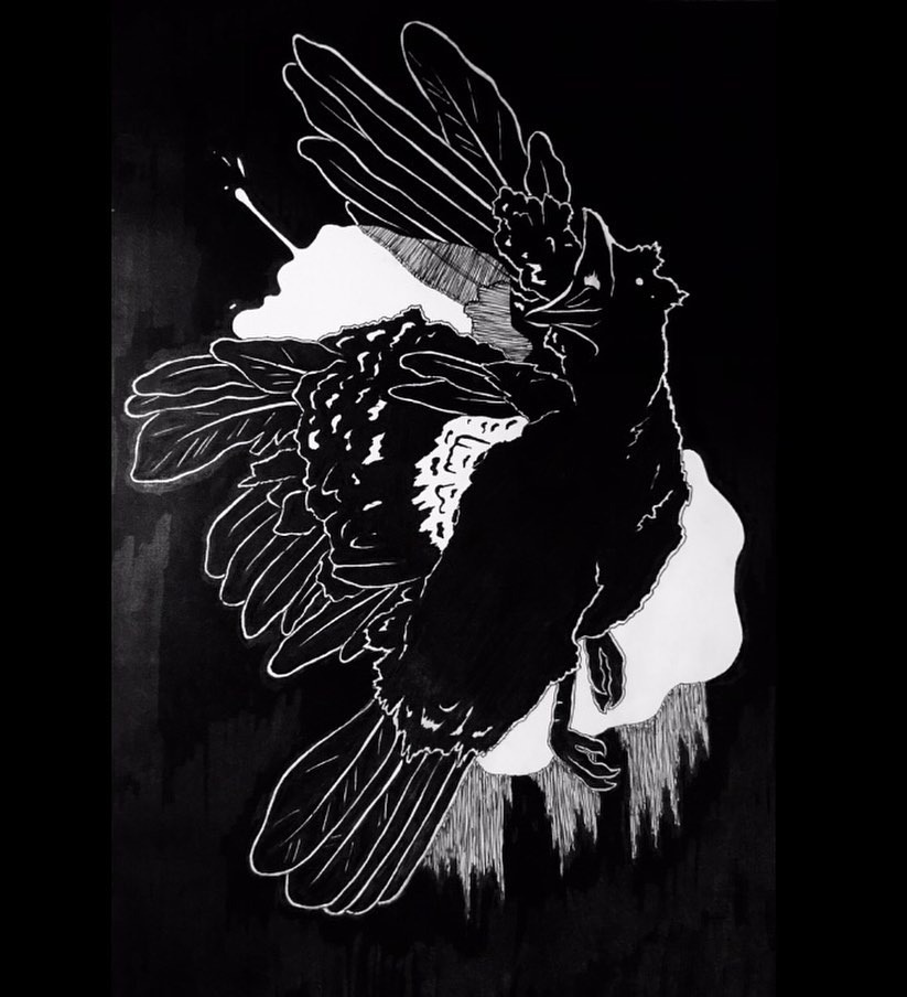 Crow
