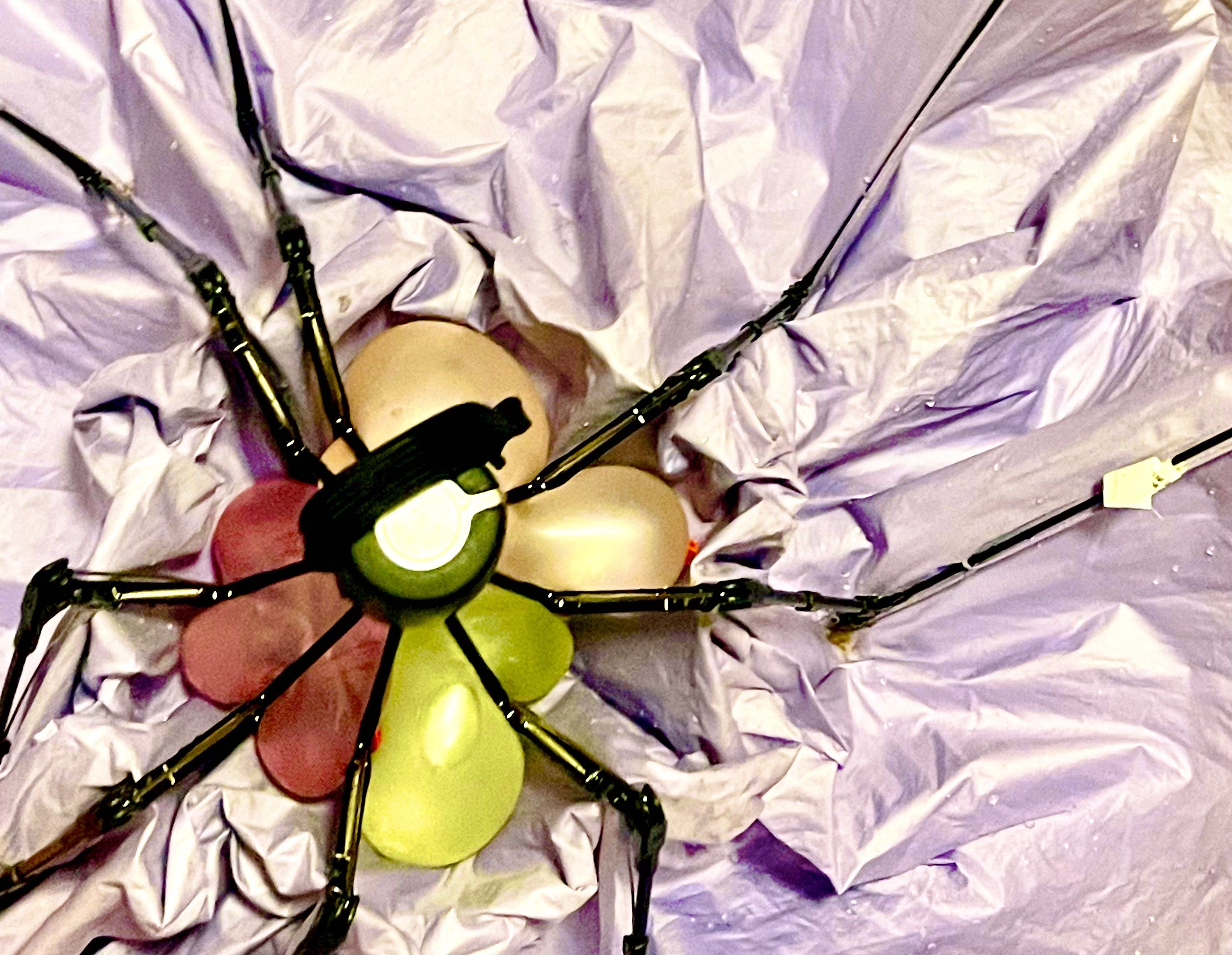 Thorax