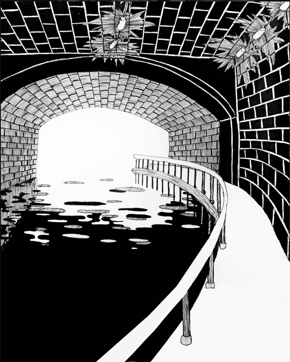 Brierley Hill Canal